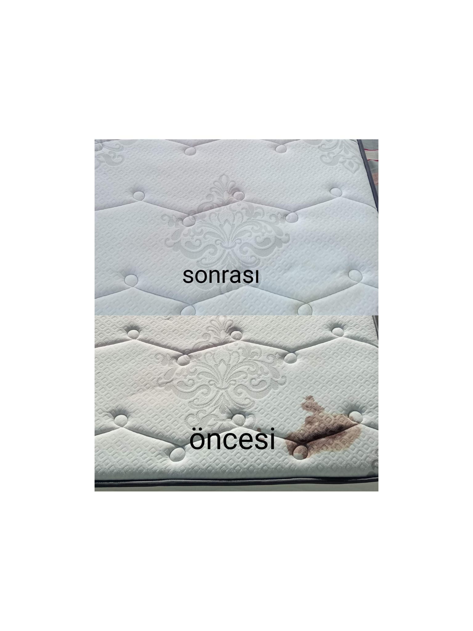 Foto Galeri